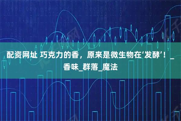 配资网址 巧克力的香，原来是微生物在‘发酵’！_香味_群落_魔法